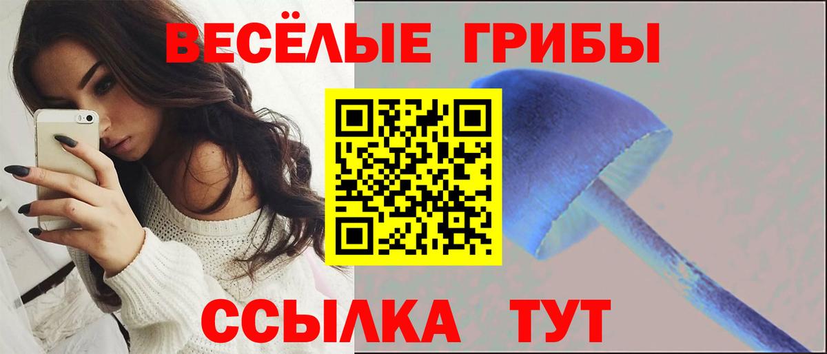 Галлюциногенные грибы мухоморы  Вход с VPN  Электросталь  Галлюциногенные грибы Magic Shrooms 